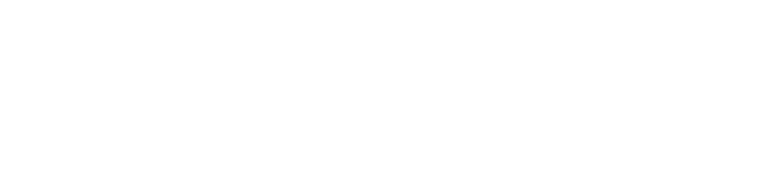 Client -password- Server; Server -web page- Client